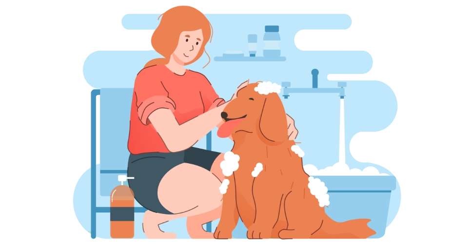 mycie psa